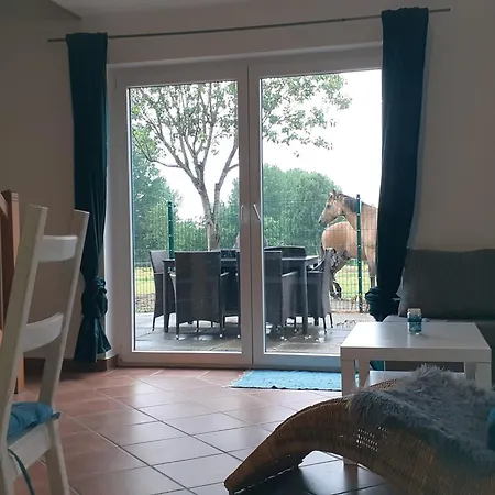 Akebys Erholung In Besonderer Atmosphaere, Inkl Pflegepony, Gastpferdeboxen Vorhanden Boren