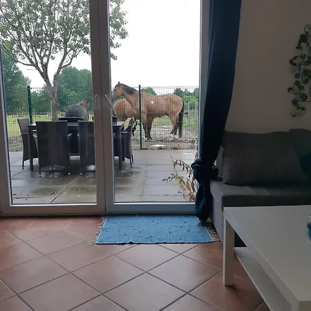 Akebys Erholung In Besonderer Atmosphaere, Inkl Pflegepony, Gastpferdeboxen Vorhanden Appartement Boren